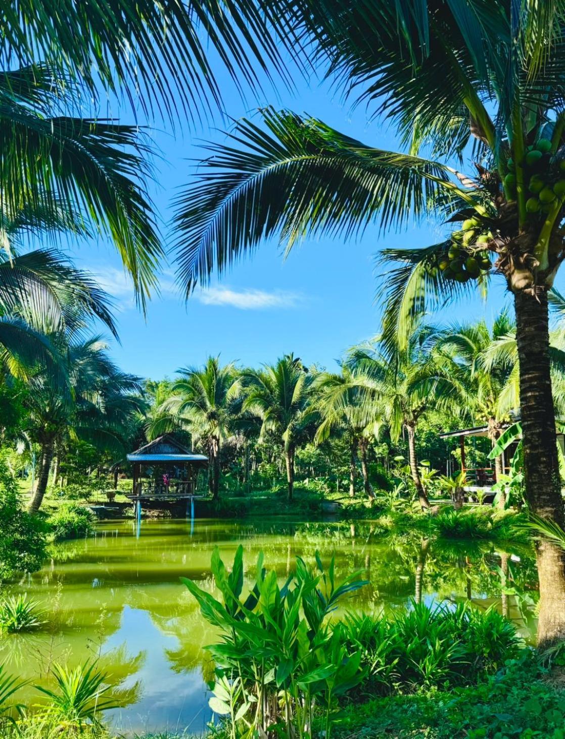 Bang Mee Homestay Koh Yao Noi Bagian luar foto