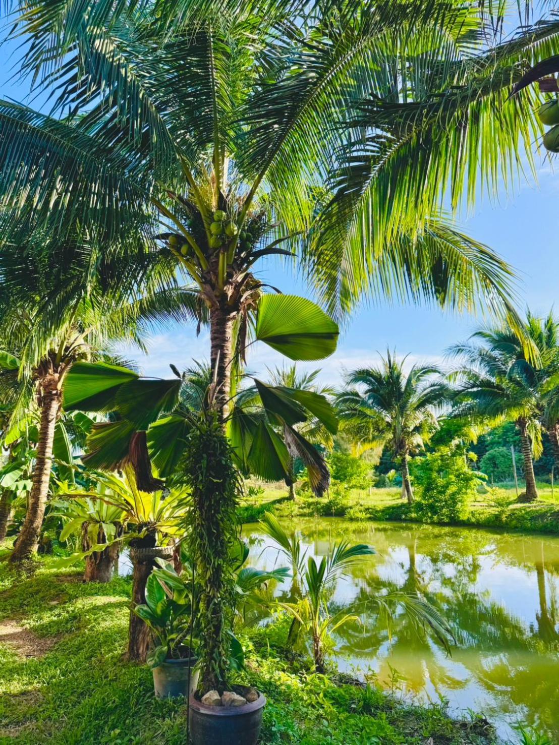 Bang Mee Homestay Koh Yao Noi Bagian luar foto