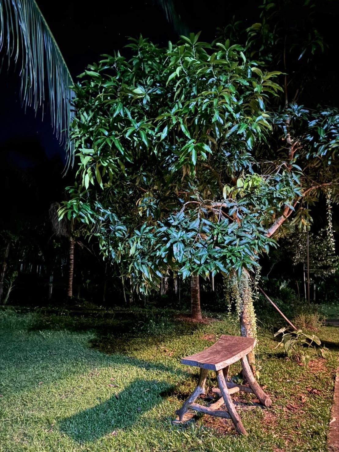 Bang Mee Homestay Koh Yao Noi Bagian luar foto