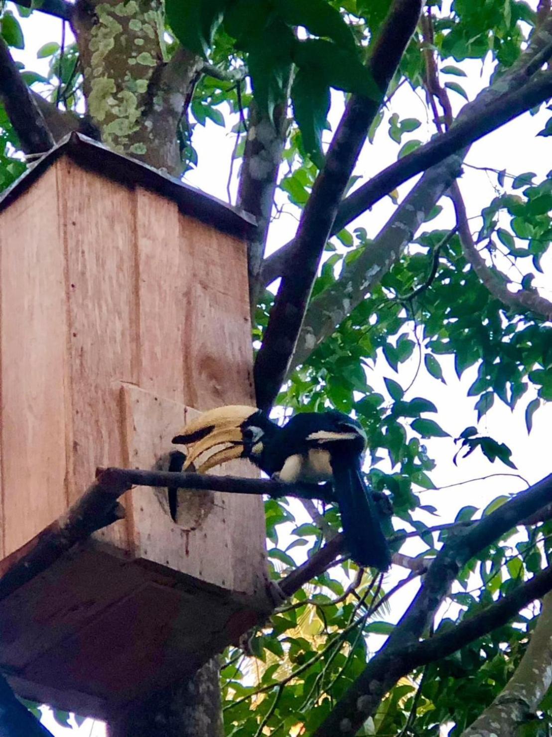 Bang Mee Homestay Koh Yao Noi Bagian luar foto