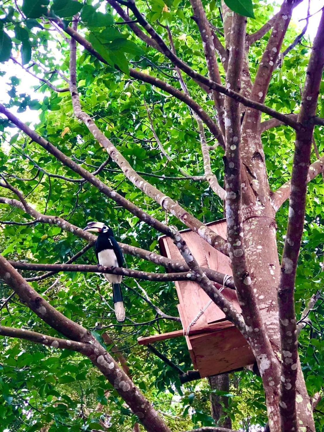 Bang Mee Homestay Koh Yao Noi Bagian luar foto