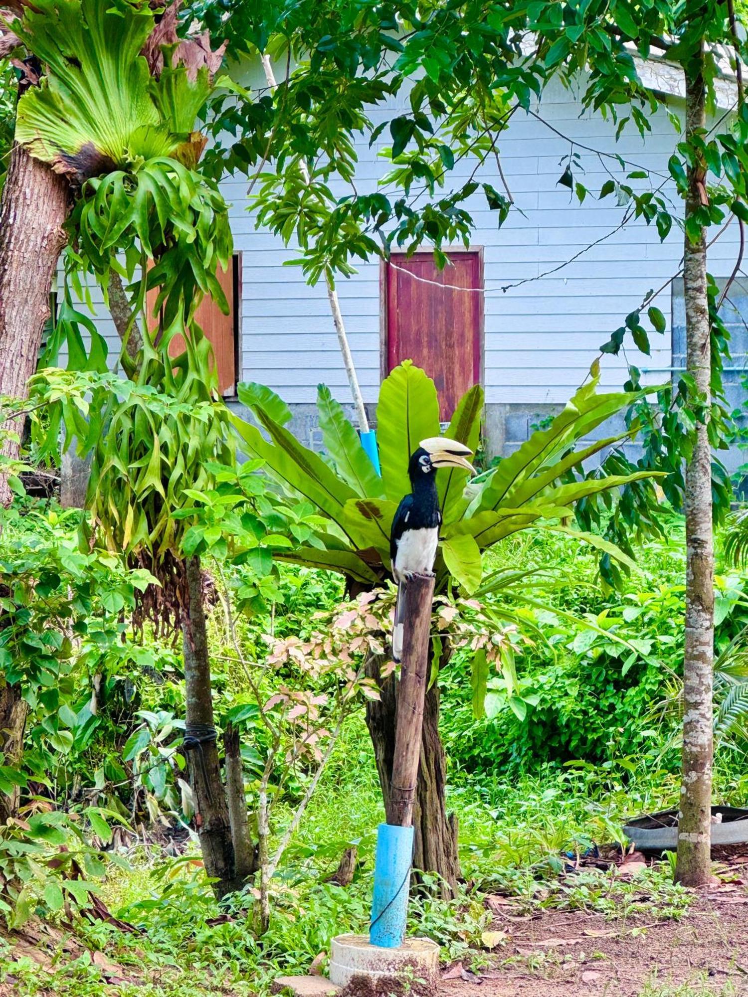 Bang Mee Homestay Koh Yao Noi Bagian luar foto